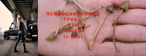 прущая мука Балахна