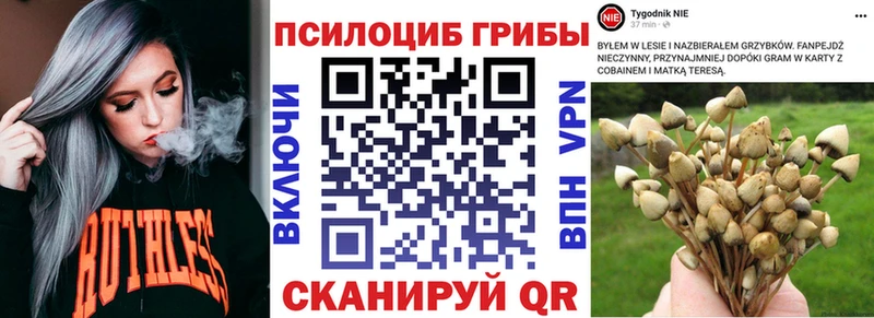 Псилоцибиновые грибы GOLDEN TEACHER  Балтийск 